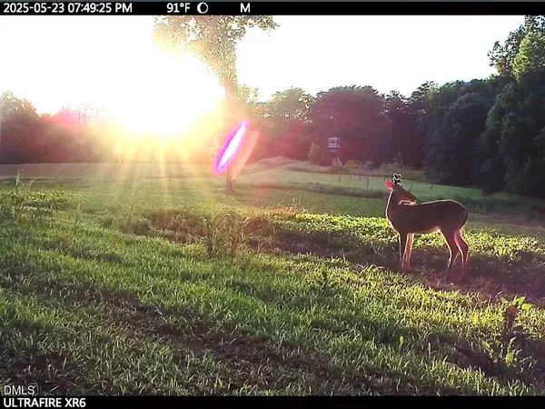 $4,749,000 | 390 Line Creek Farm Road, Yanceyville, NC 27379