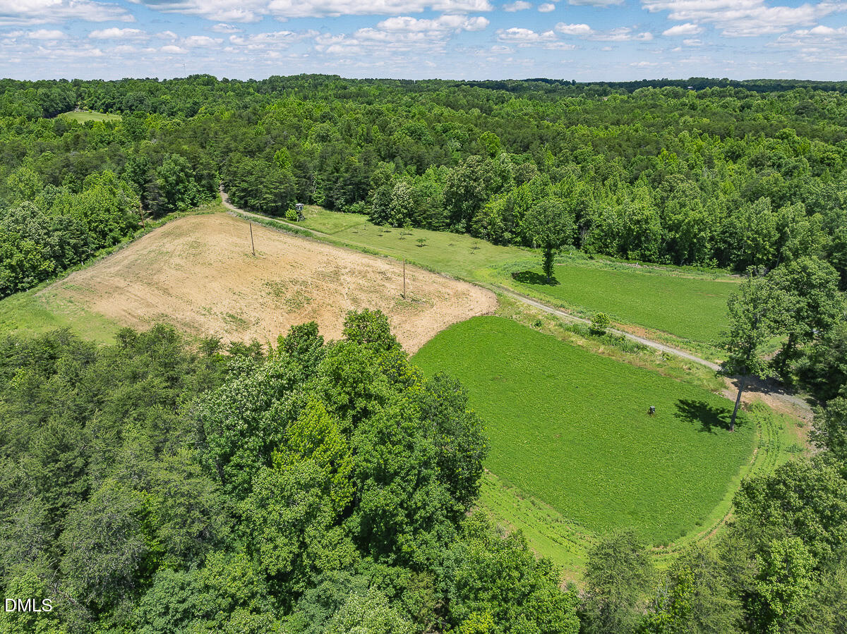 390 Line Creek Farm Road Yanceyville, NC 27379 - Photo 92 of 102 a view of a backyard with a garden