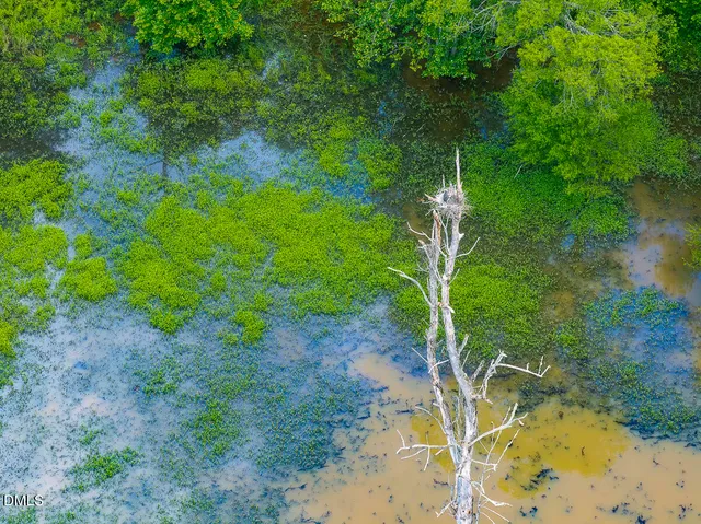 $4,999,900 | 390 Line Creek Farm Road, Yanceyville, NC 27379