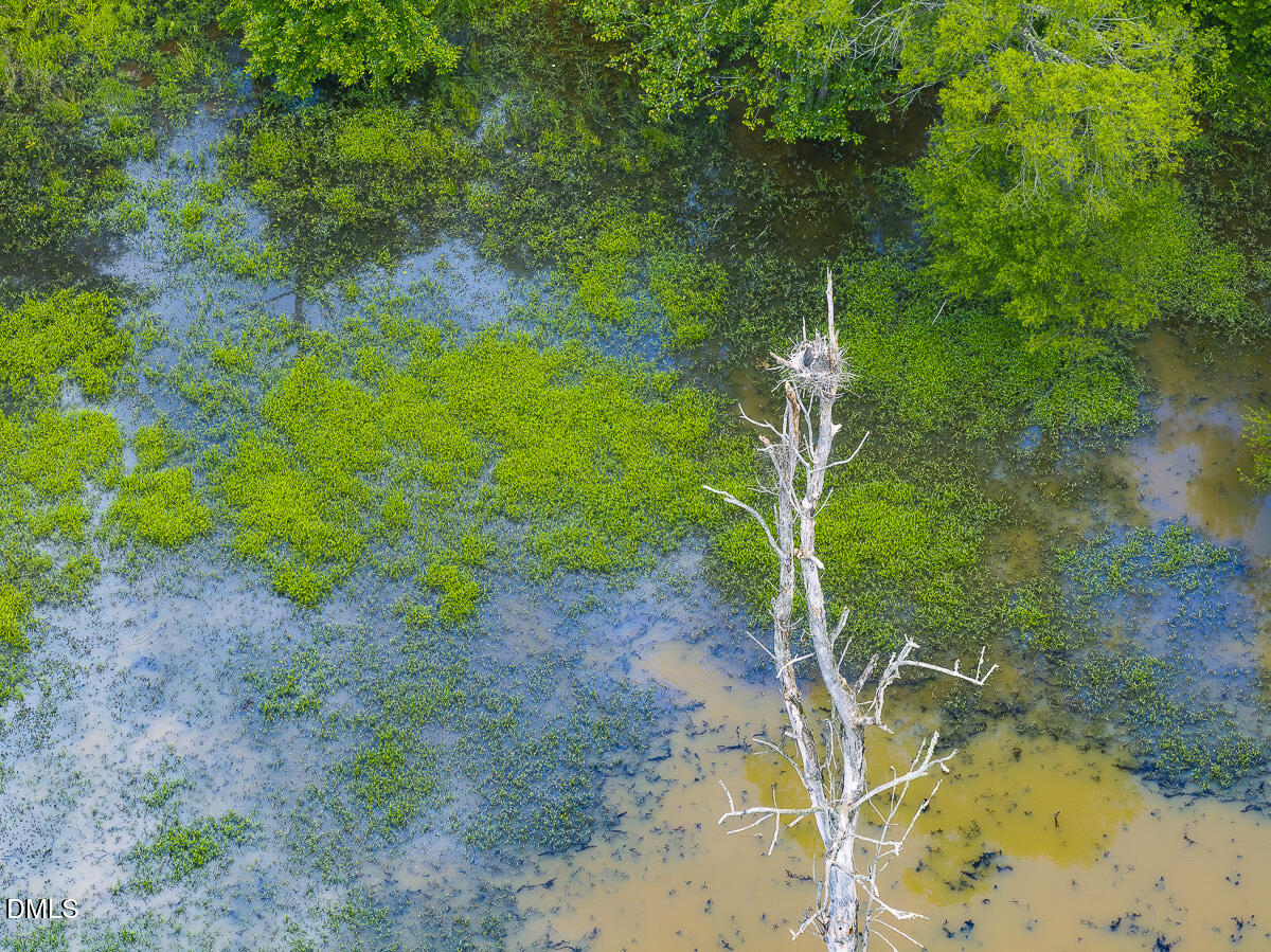 390 Line Creek Farm Road Yanceyville, NC 27379 - Photo 94 of 102 a backyard of a house with lots of green space