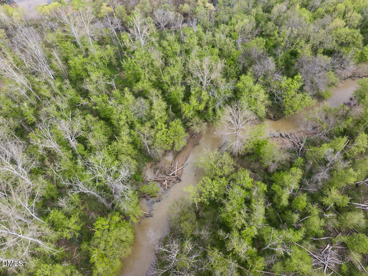390 Line Creek Farm Road Yanceyville, NC 27379 - Photo 96 of 102 a view of a forest with a tree
