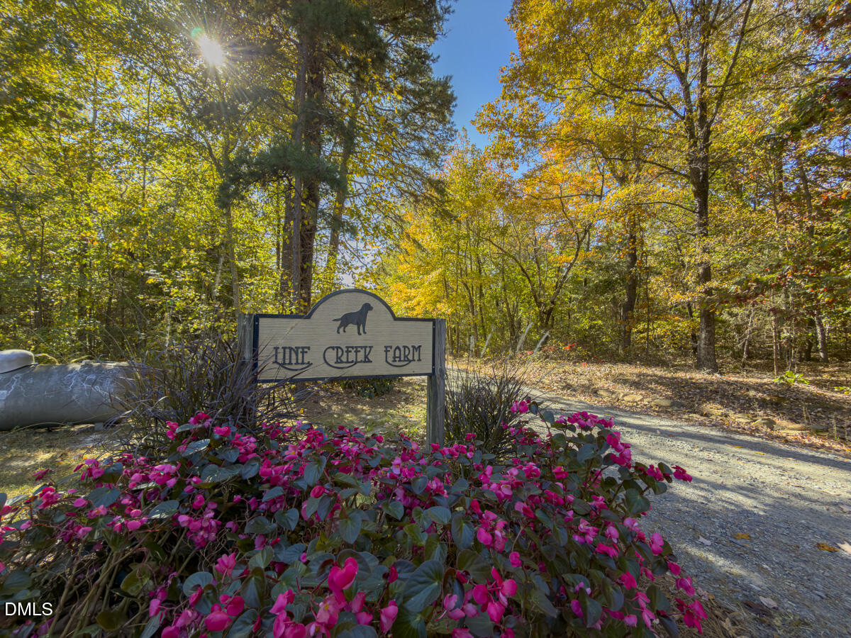 390 Line Creek Farm Road Yanceyville, NC 27379 - Photo 98 of 102 390 Line Creek Farm Rd-096
