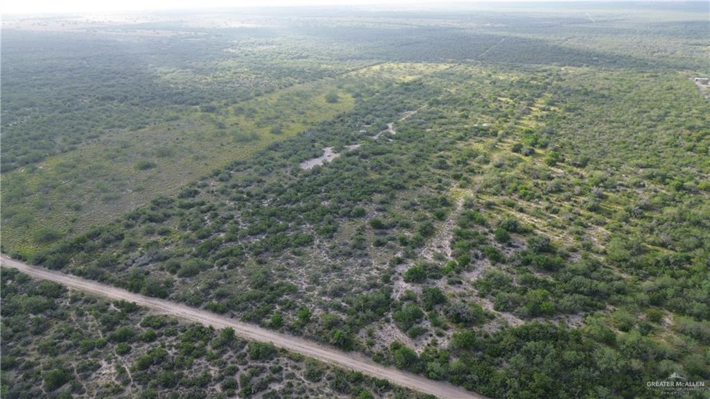 0 Alejandrenas Road Zapata, TX 78076 - Photo 3 of 6