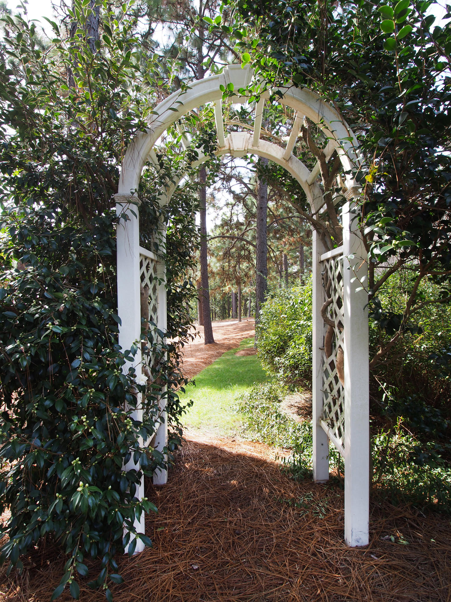 65 Inverrary Road Pinehurst, NC 28374 - Photo 42 of 59 yard1