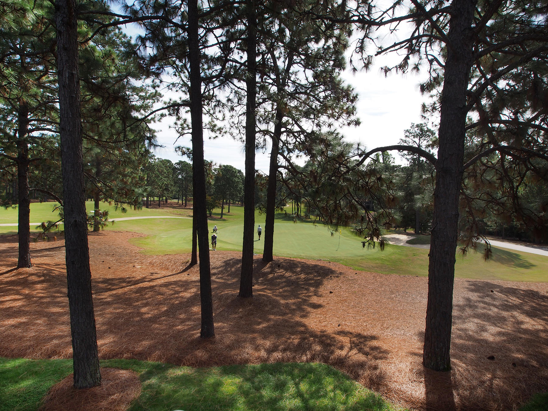 65 Inverrary Road Pinehurst, NC 28374 - Photo 8 of 59 golf2