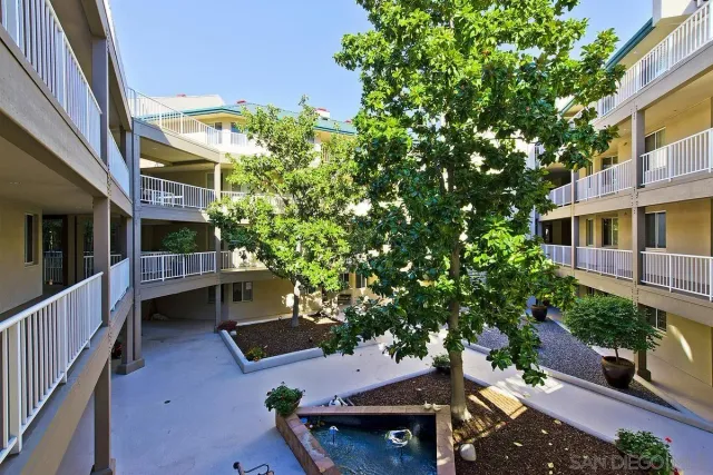 front view of a house with a tree