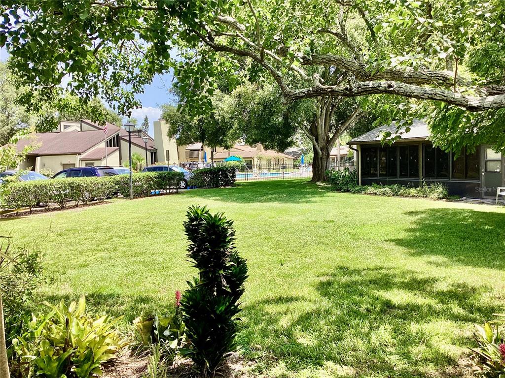 2101 Sunset Point Road, Unit 205 Clearwater, FL 33765 - Photo 19 of 25 Gallery Image 19