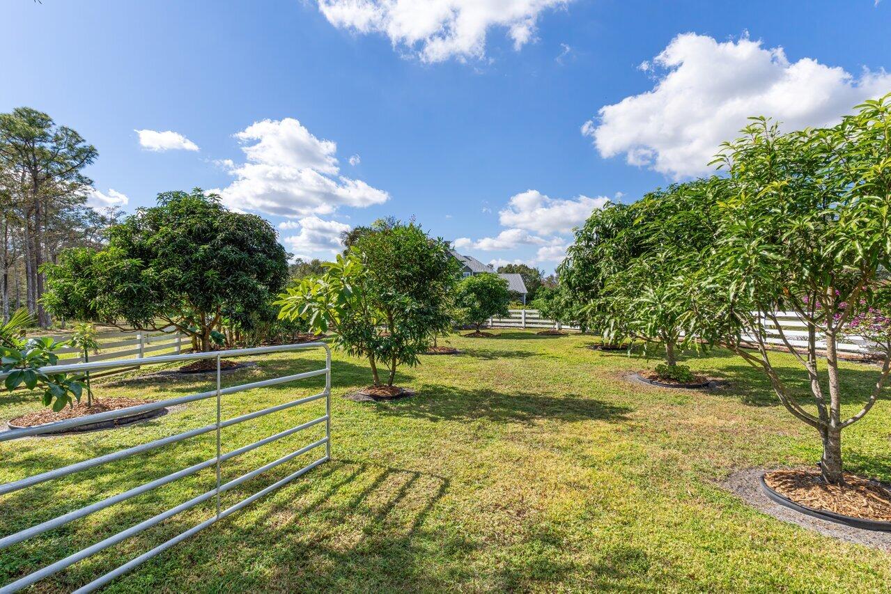 1802 Southwest Trailside Path Stuart, FL 34997 - Photo 42 of 57 a view of a swimming pool with a yard