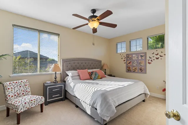 a view of a pathway with a flower garden