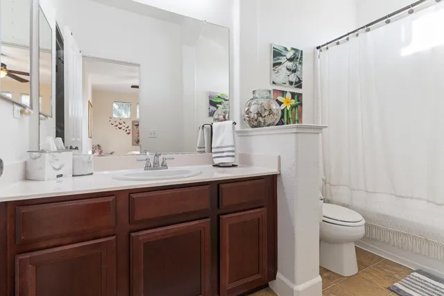 a view of a garden with plants and trees