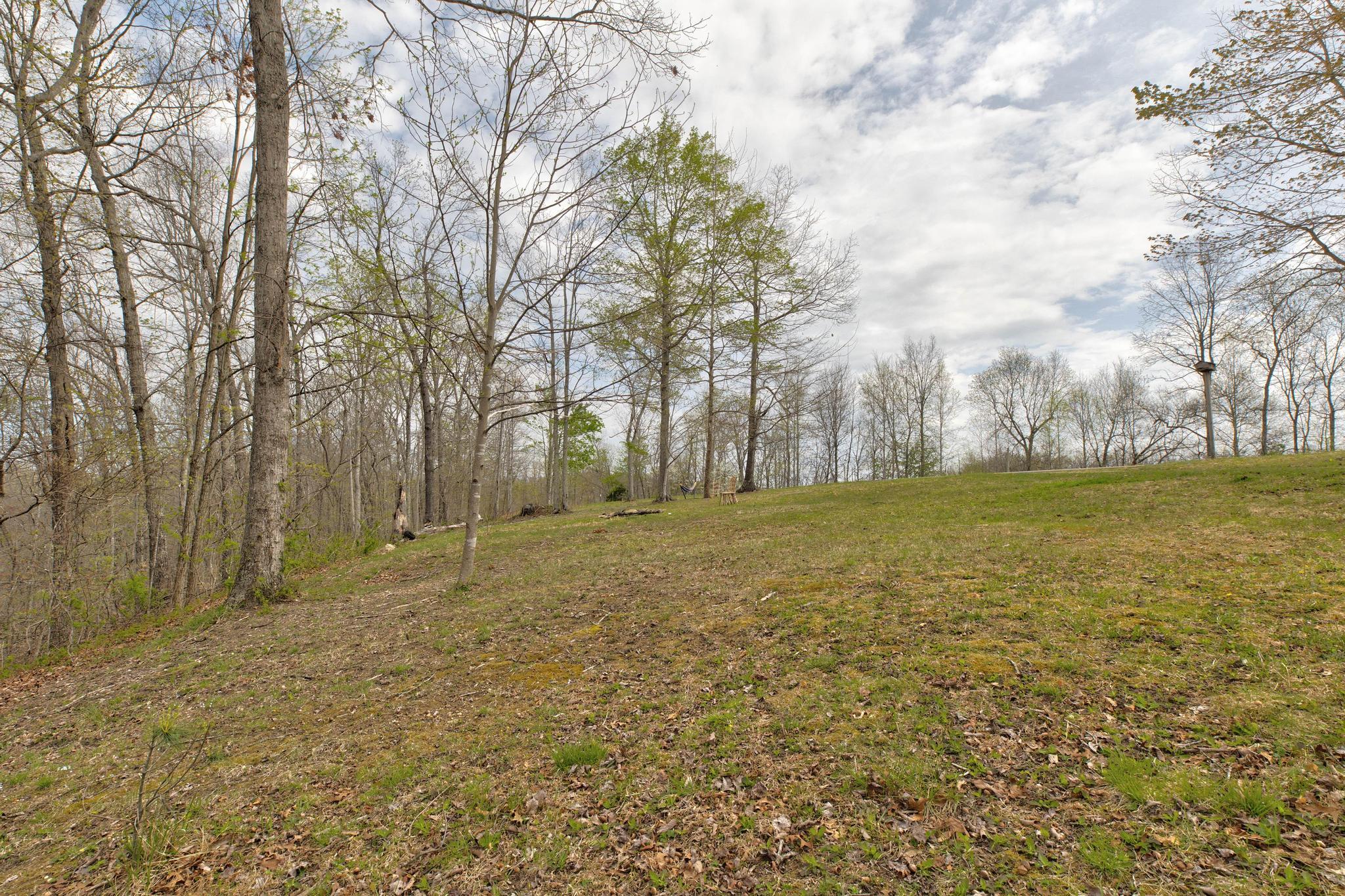 150 Wild Turkey Road Morehead, KY 40351 - Photo 50 of 51 Yard (2)