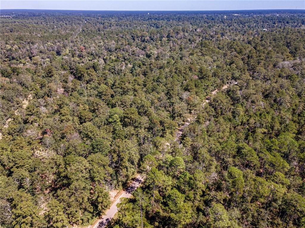 0 Bricker Road Covington, LA 70433 - Photo 4 of 11