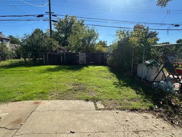 a view of backyard with plants and trees