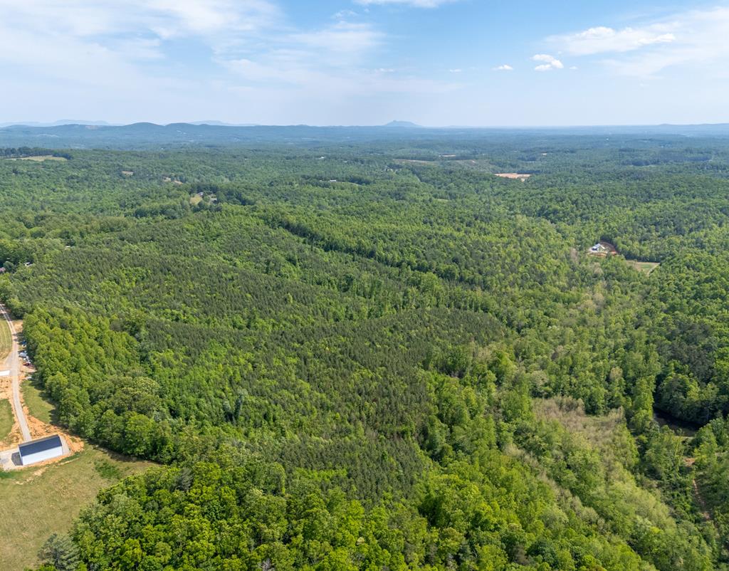Tbd Ahart Ridge Road, Unit 58 60 61 Ararat, VA 24053 - Photo 1 of 54 Gallery Image 1