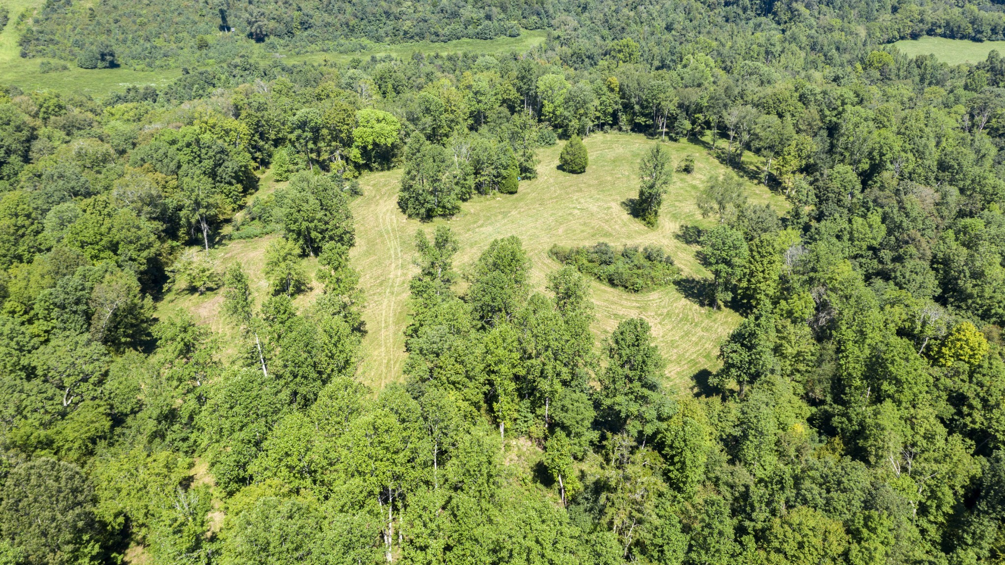 0 Buck Branch Road Duck River, TN 38454 - Photo 1 of 28 Gallery Image 1