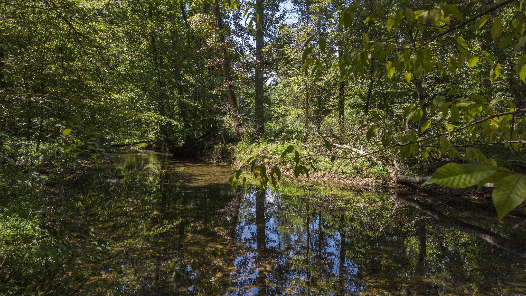 0 Buck Branch Road Duck River, TN 38454 - Photo 11 of 28 Gallery Image 11