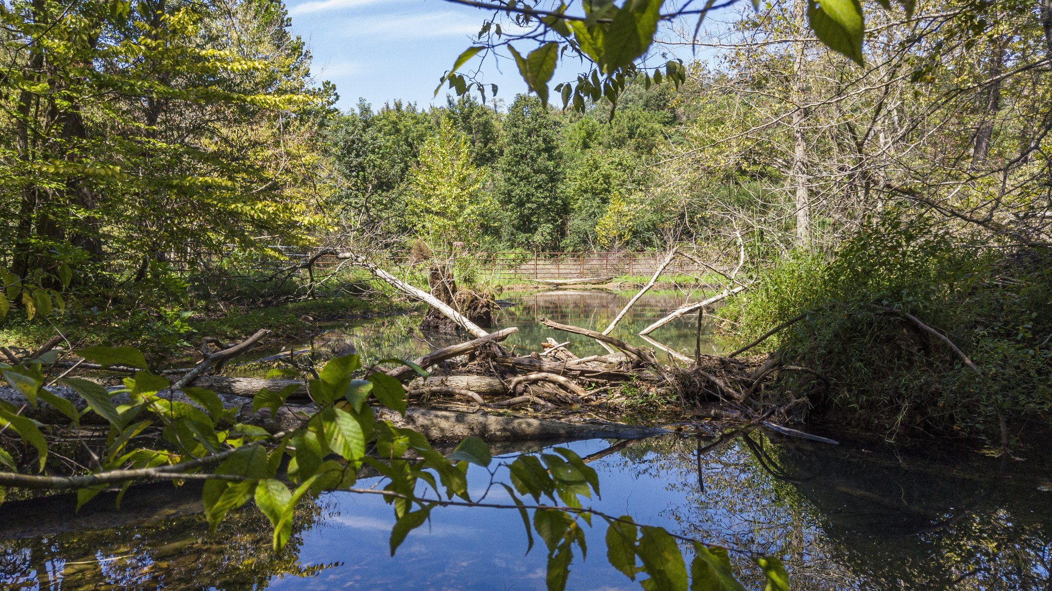 0 Buck Branch Road Duck River, TN 38454 - Photo 13 of 28 Gallery Image 13
