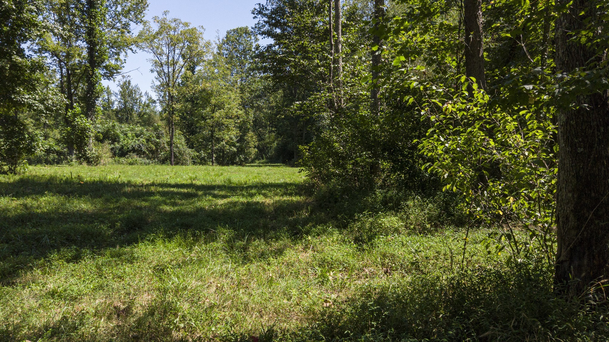 0 Buck Branch Road Duck River, TN 38454 - Photo 15 of 28 Gallery Image 15