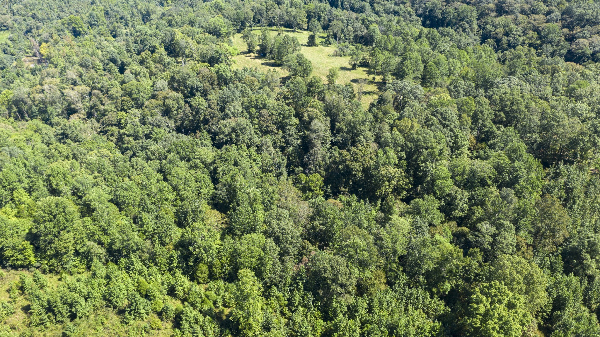 0 Buck Branch Road Duck River, TN 38454 - Photo 18 of 28 Gallery Image 18
