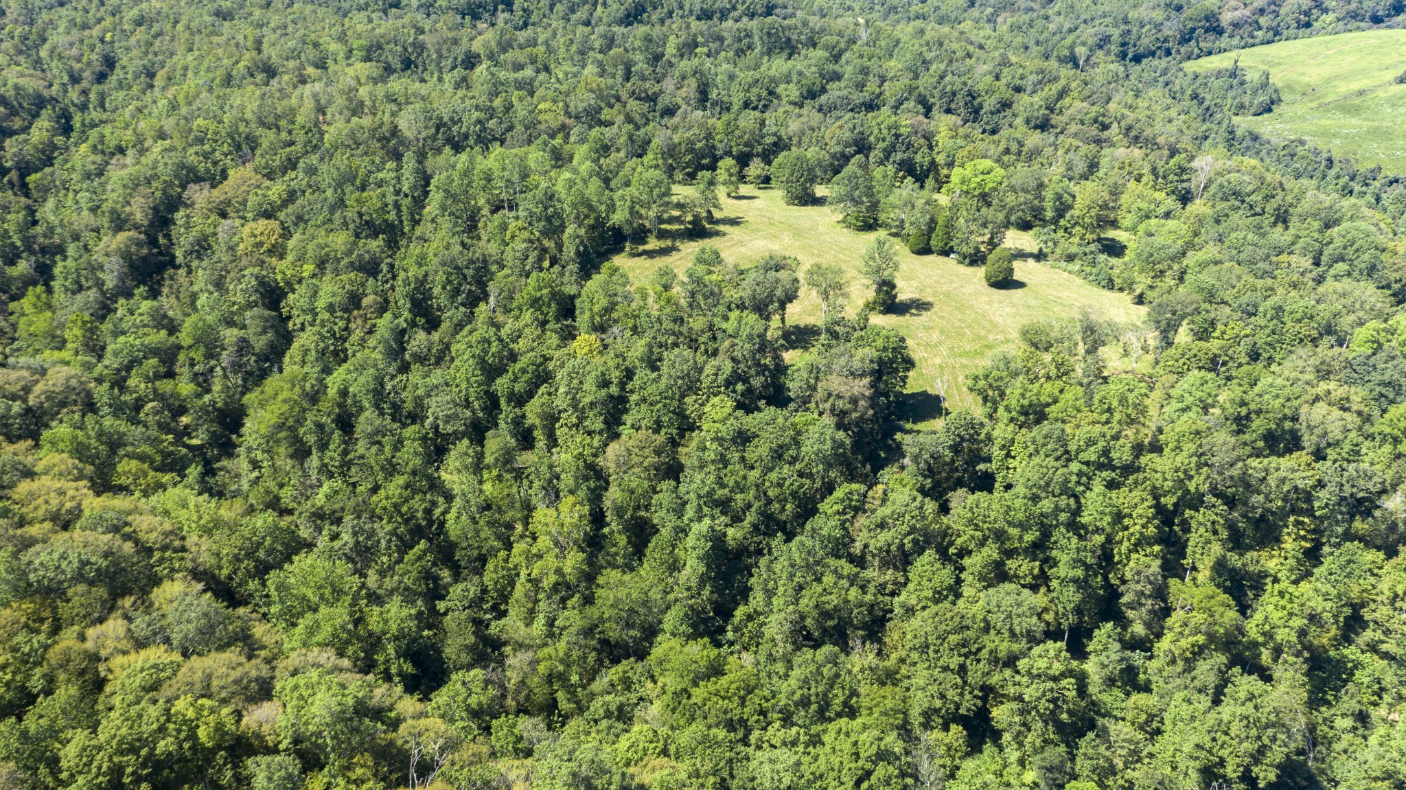 0 Buck Branch Road Duck River, TN 38454 - Photo 19 of 28 Gallery Image 19