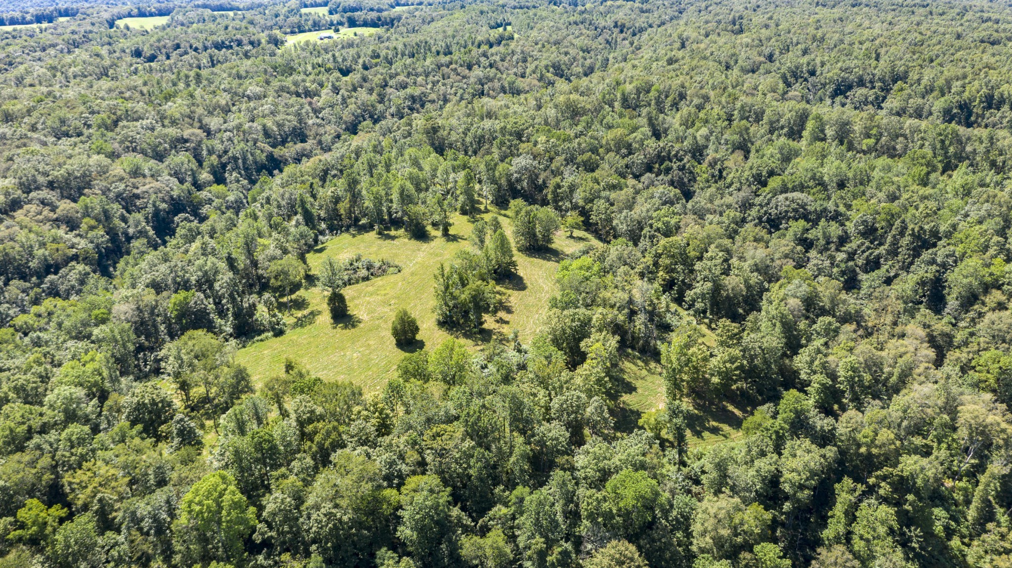 0 Buck Branch Road Duck River, TN 38454 - Photo 20 of 28 Gallery Image 20