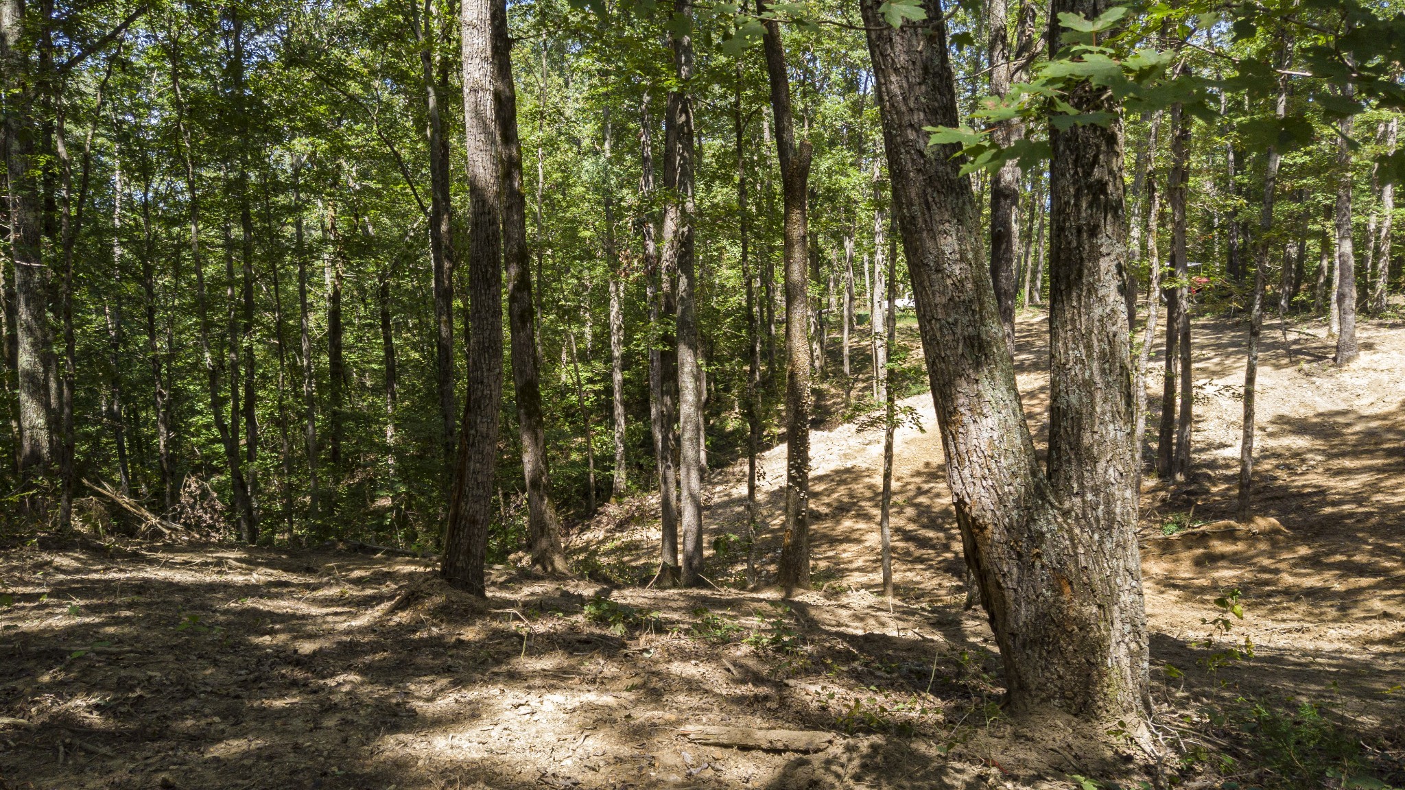 0 Buck Branch Road Duck River, TN 38454 - Photo 21 of 28 Gallery Image 21