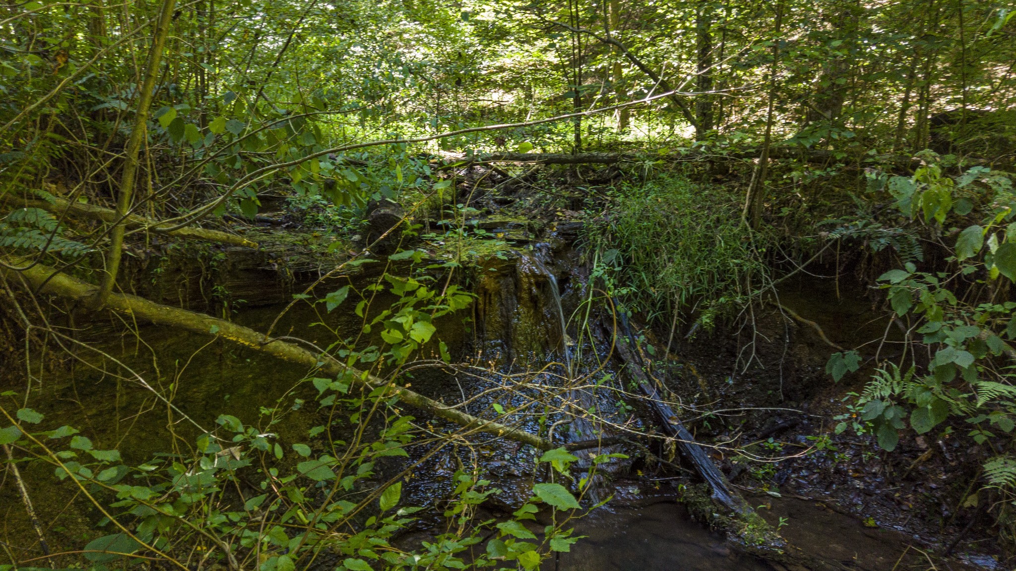 0 Buck Branch Road Duck River, TN 38454 - Photo 22 of 28 Gallery Image 22