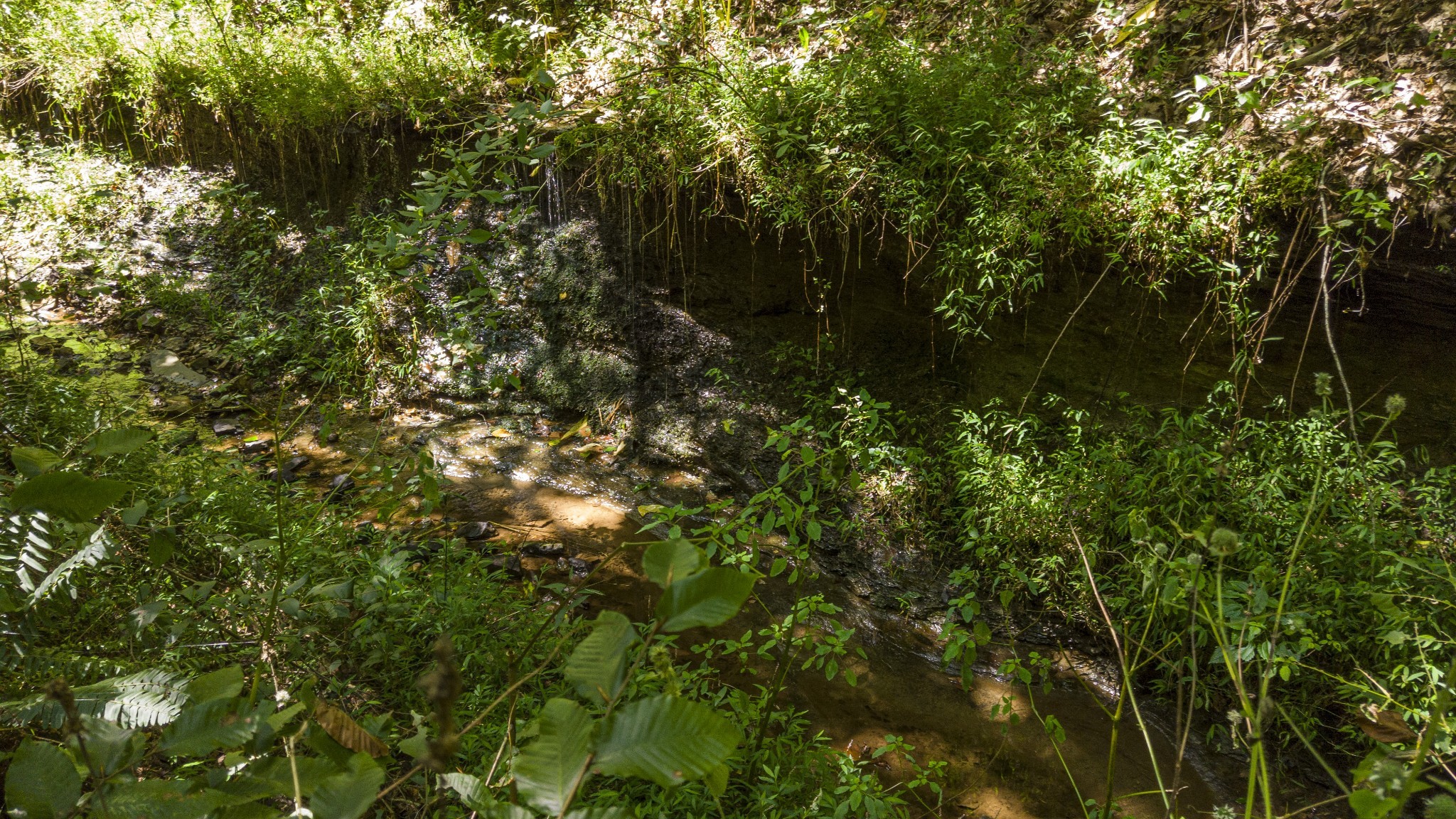 0 Buck Branch Road Duck River, TN 38454 - Photo 23 of 28 Gallery Image 23