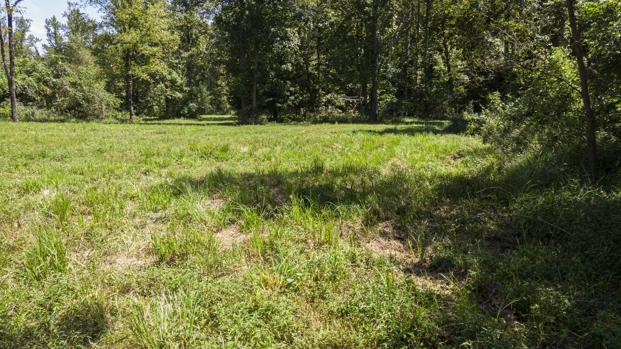 0 Buck Branch Road Duck River, TN 38454 - Photo 25 of 28 Gallery Image 25