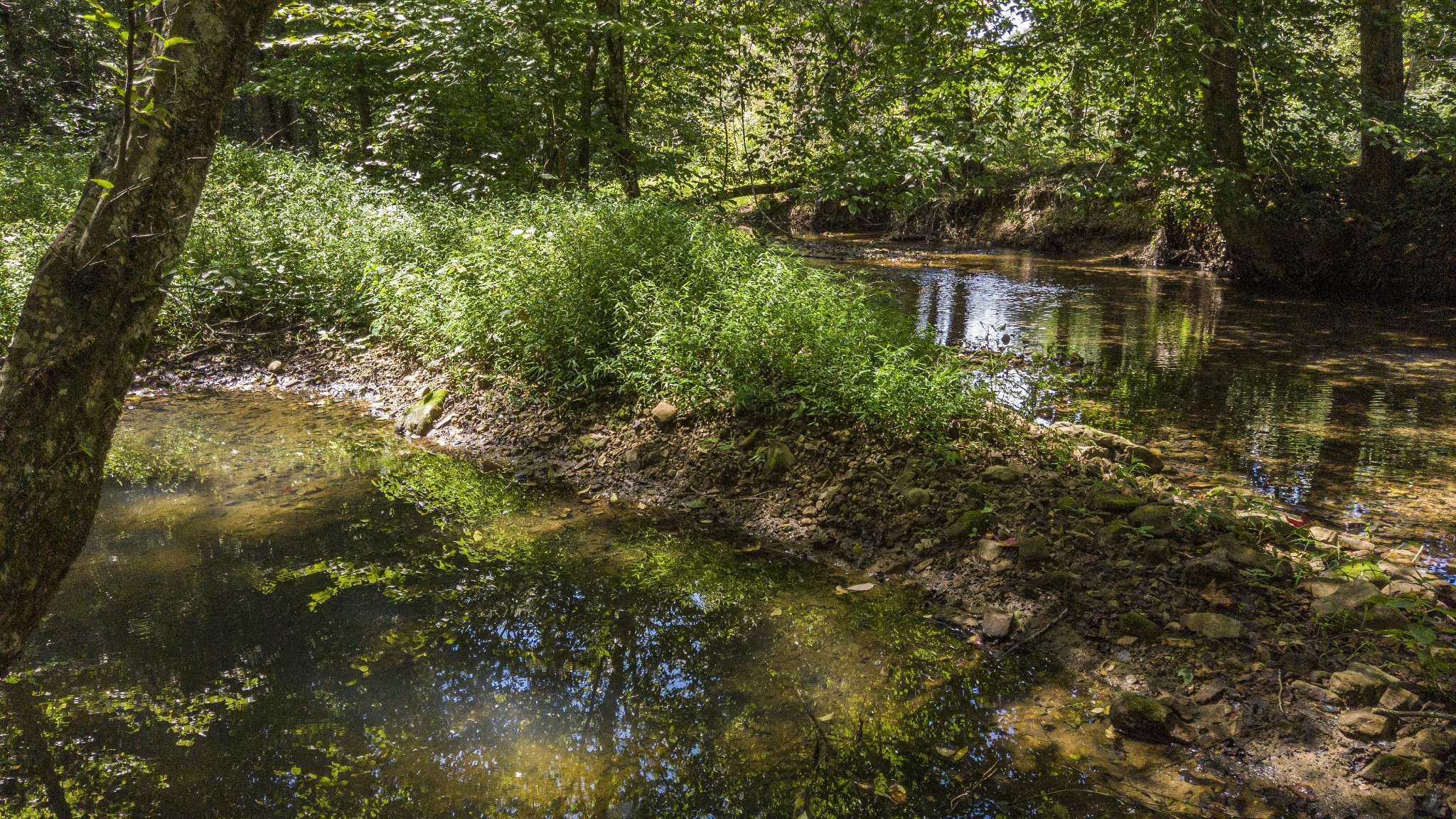 0 Buck Branch Road Duck River, TN 38454 - Photo 4 of 28 Gallery Image 4