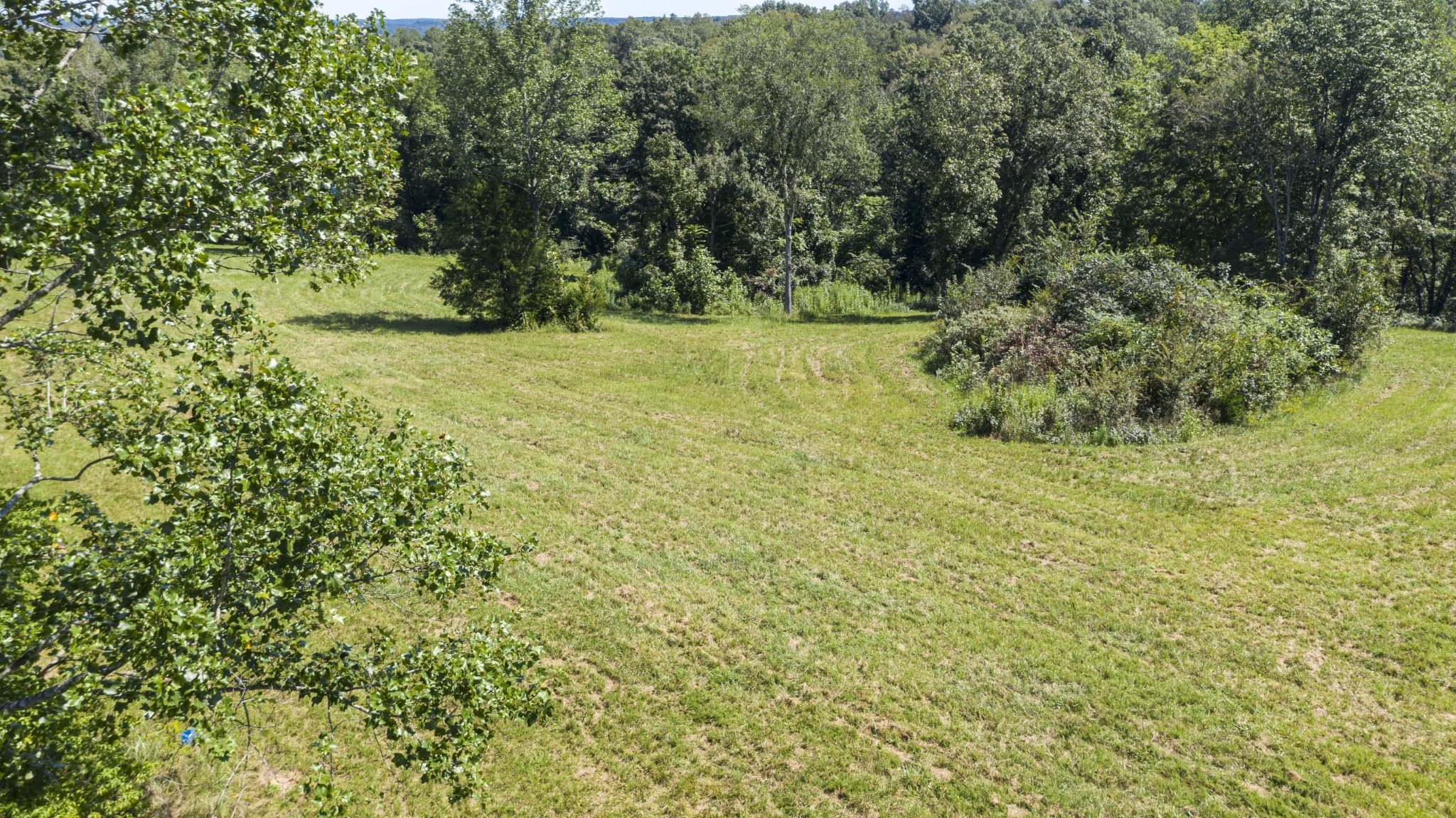 0 Buck Branch Road Duck River, TN 38454 - Photo 5 of 28 Gallery Image 5