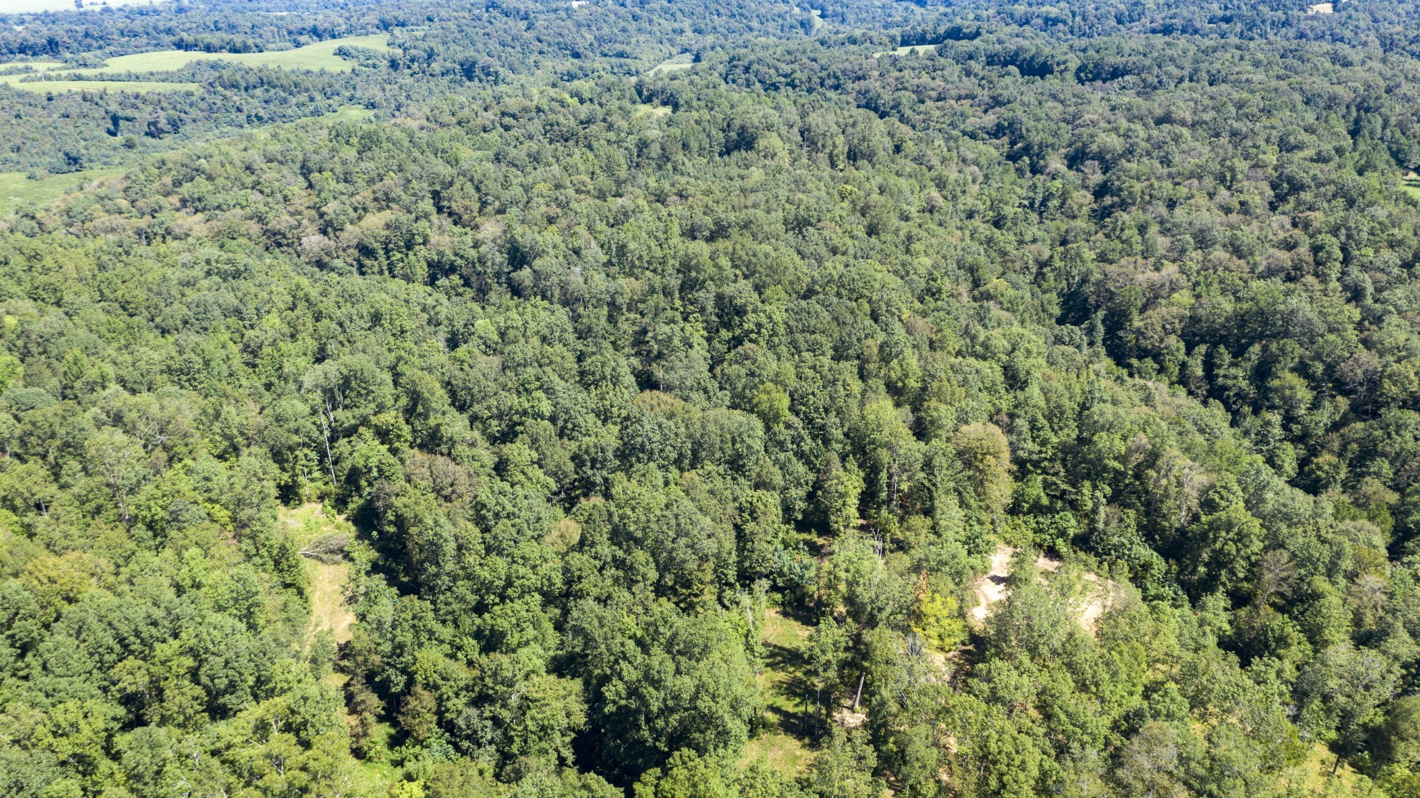 0 Buck Branch Road Duck River, TN 38454 - Photo 6 of 28 Gallery Image 6