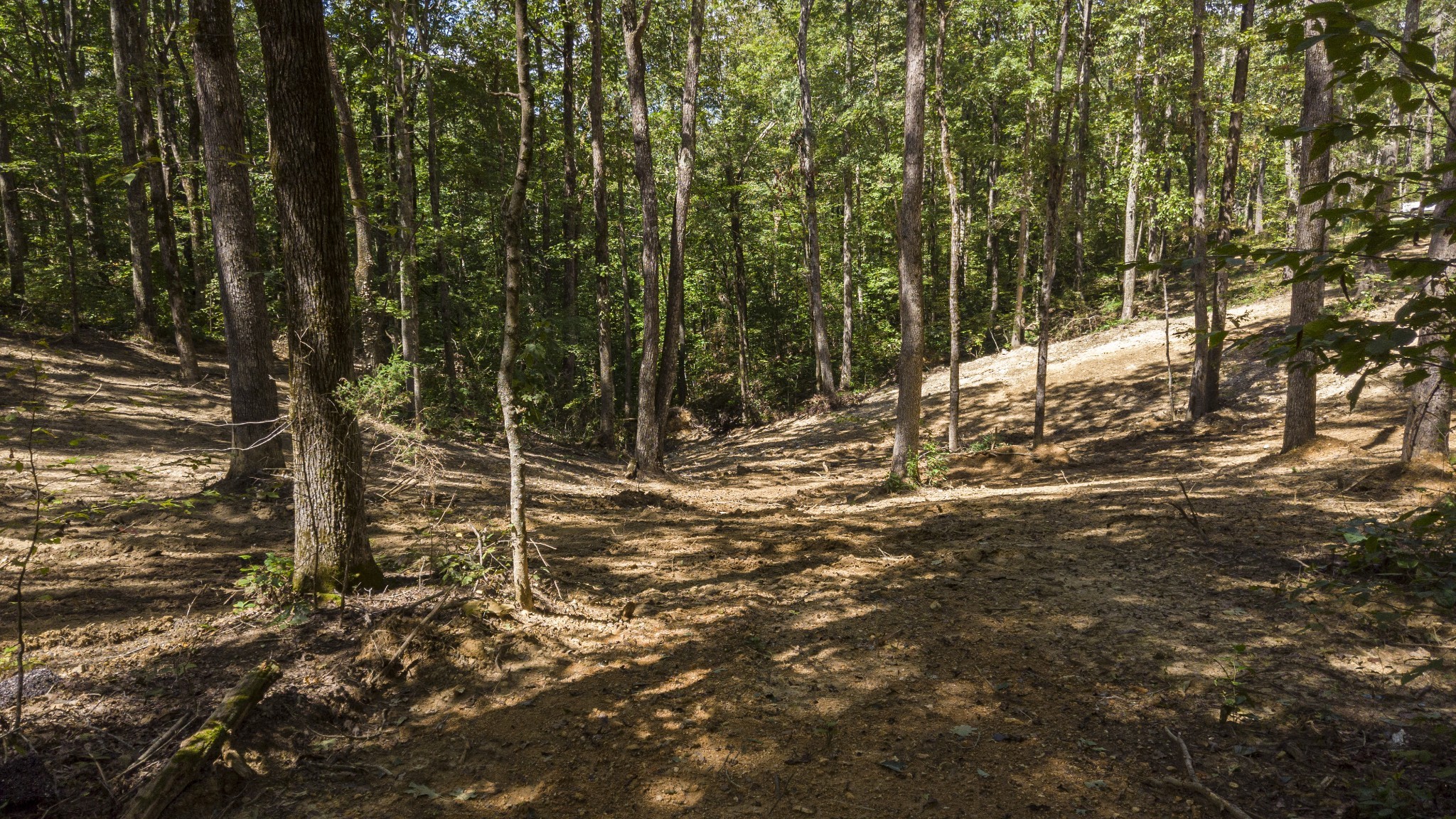 0 Buck Branch Road Duck River, TN 38454 - Photo 8 of 28 Gallery Image 8