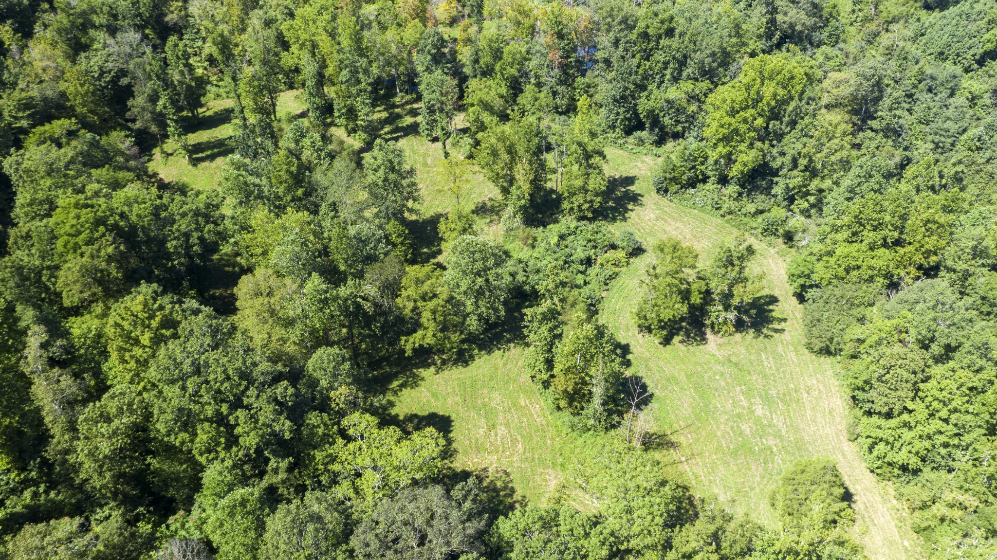 0 Buck Branch Road Duck River, TN 38454 - Photo 9 of 28 Gallery Image 9