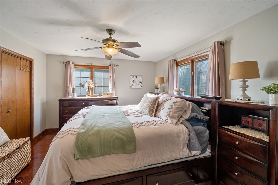8221 Stone Road Medina, OH 44256 - Photo 12 of 35 Bedroom with hardwood floors, a large walk-in closet, and ceiling fan
