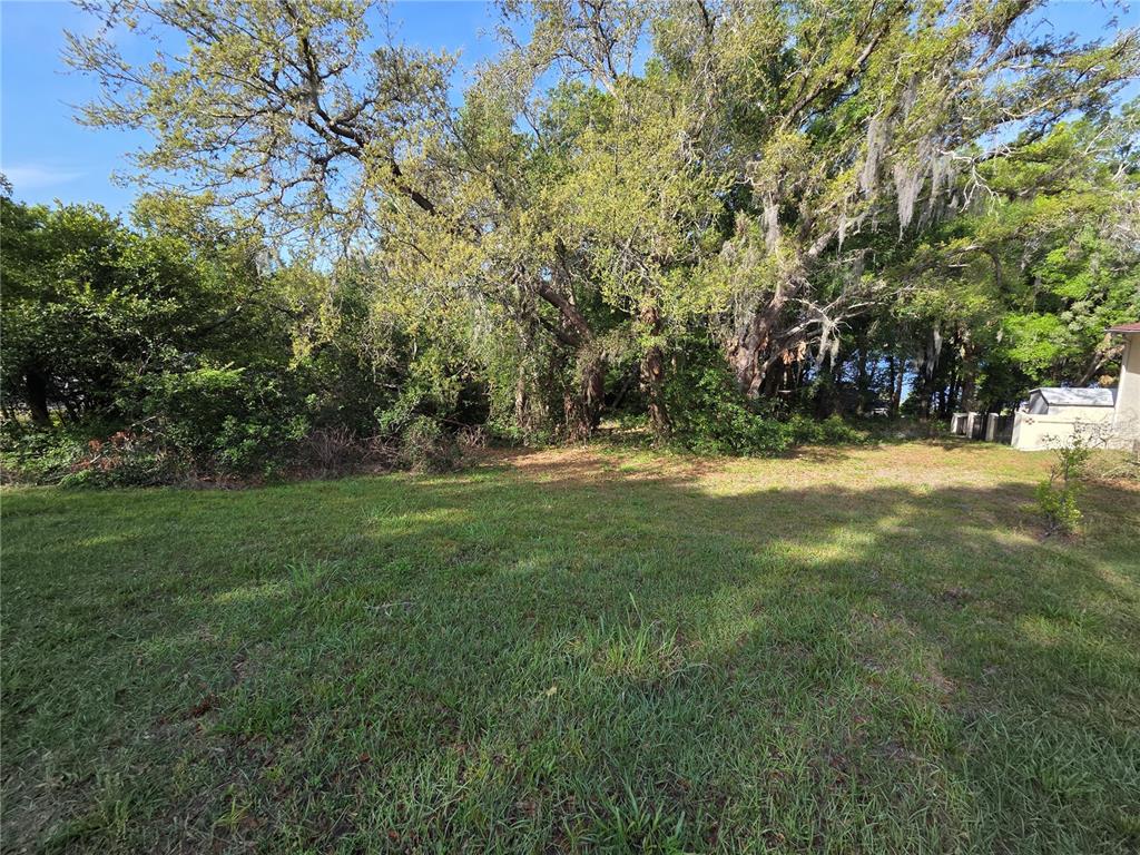 Country Club Road Eustis, FL 32726 - Photo 8 of 8 a view of a field with trees