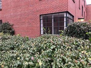 1148 Briarcliff Road Northeast, Unit 1 Atlanta, GA 30306 - Photo 22 of 33 a view of a backyard