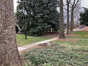 1148 Briarcliff Road Northeast, Unit 1 Atlanta, GA 30306 - Photo 32 of 33 a view of a yard with a tree