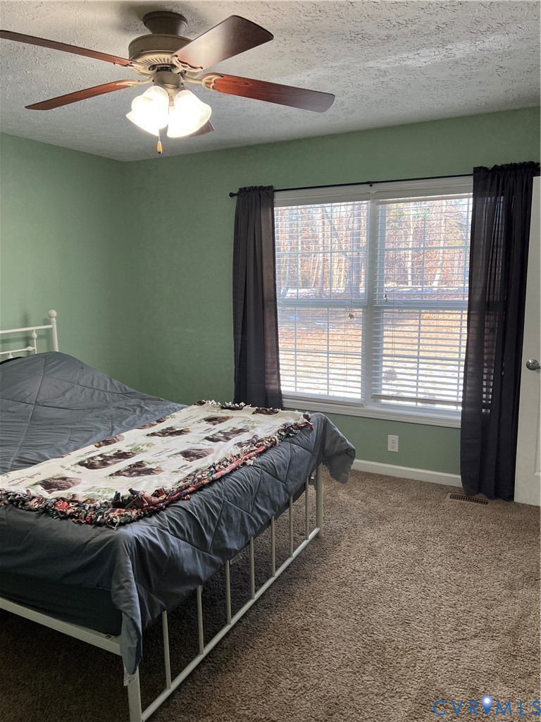 5186 Abilene Road Farmville, VA 23901 - Photo 19 of 35