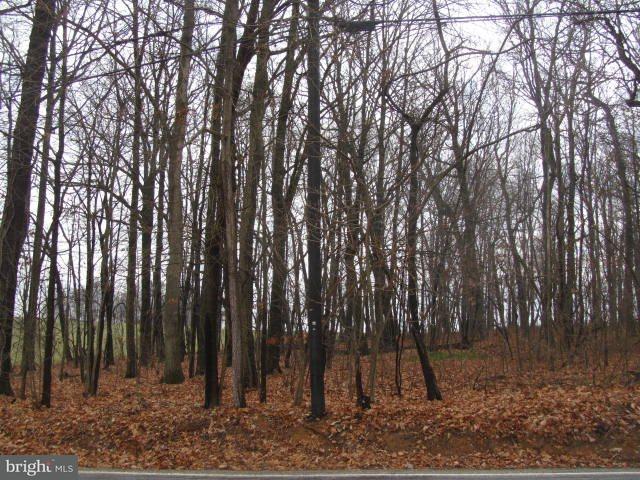 Lot 1 Hoff Road Spring Grove, PA 17362 - Photo 3 of 3