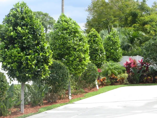 $7,500 | 5730 Vista Linda Lane, Boca Raton, FL 33433