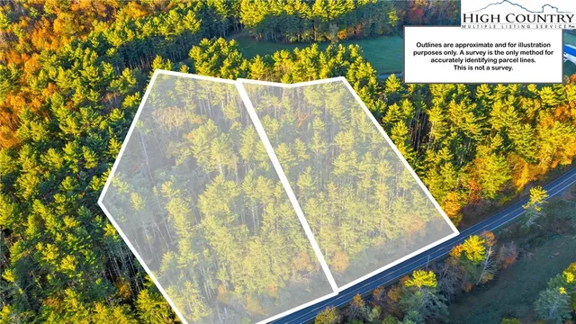 a view of swimming pool with a garden