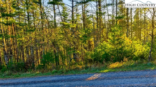 a view of a pathway with a yard