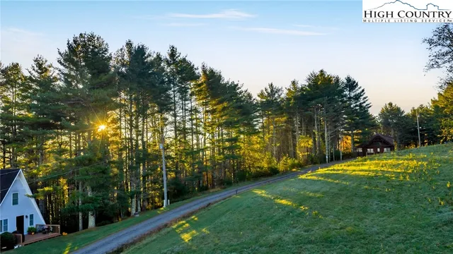 a view of a lake with a tree