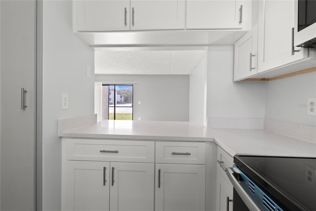 1108 Bartow Road, Unit 100 Lakeland, FL 33801 - Photo 5 of 15