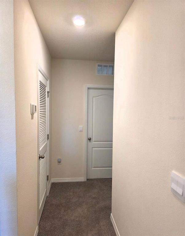 3168 Goose Road Davenport, FL 33837 - Photo 21 of 33