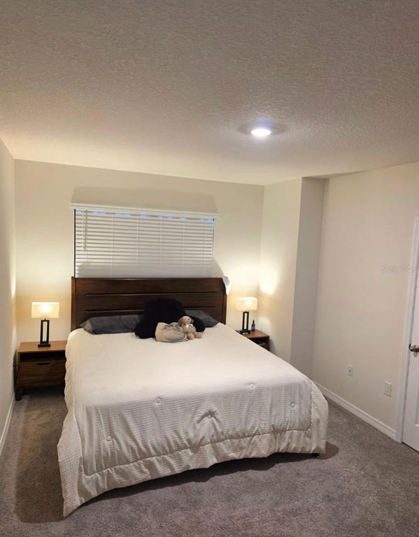 3168 Goose Road Davenport, FL 33837 - Photo 27 of 33