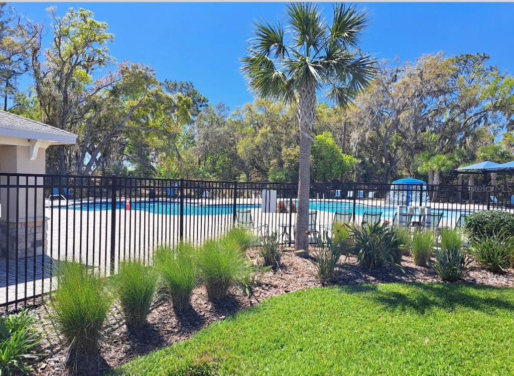 3168 Goose Road Davenport, FL 33837 - Photo 32 of 33