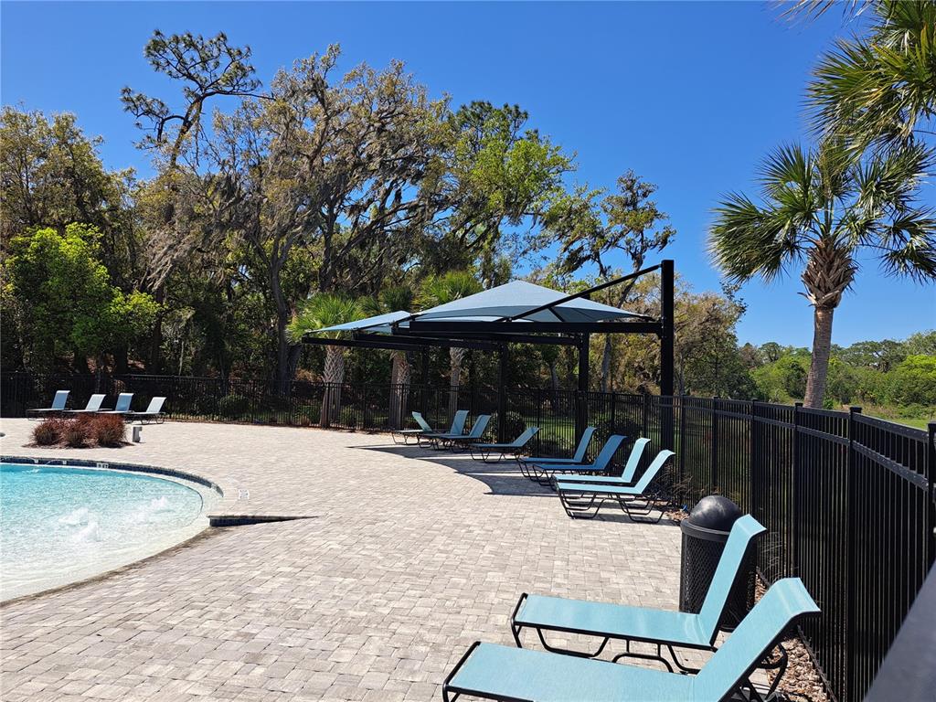 3168 Goose Road Davenport, FL 33837 - Photo 7 of 33