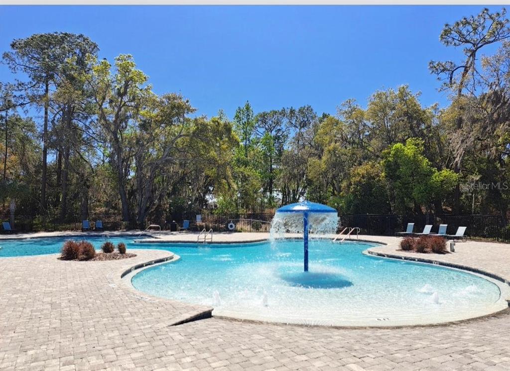 3168 Goose Road Davenport, FL 33837 - Photo 8 of 33